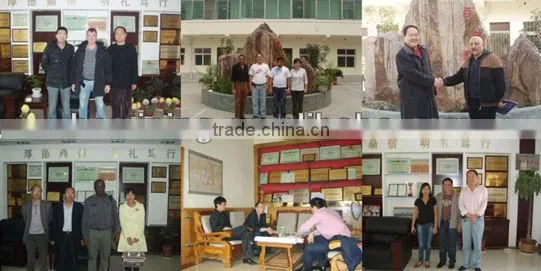 Hot Sale Gravity Separation Gold Shaker table with competitive price