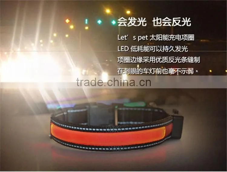 Led USB Rechargeable Dog Collars Led Pet Collars Protect your Pets in Dark