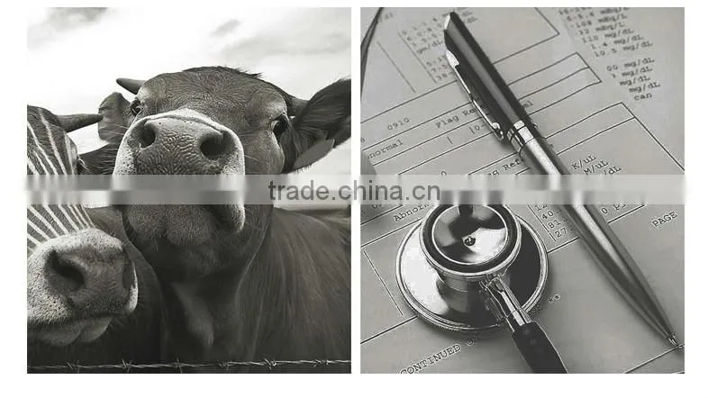 ISO CE FDA Approved Vet Wrap Cohesive Bandage
