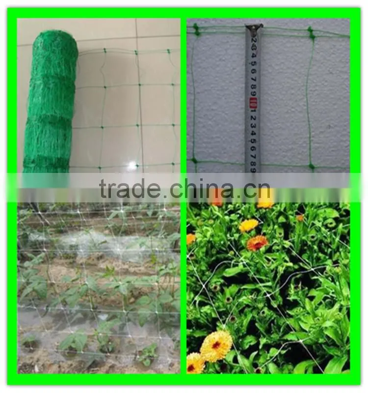 wholesale extruded plastic cucumber climbing net made in China