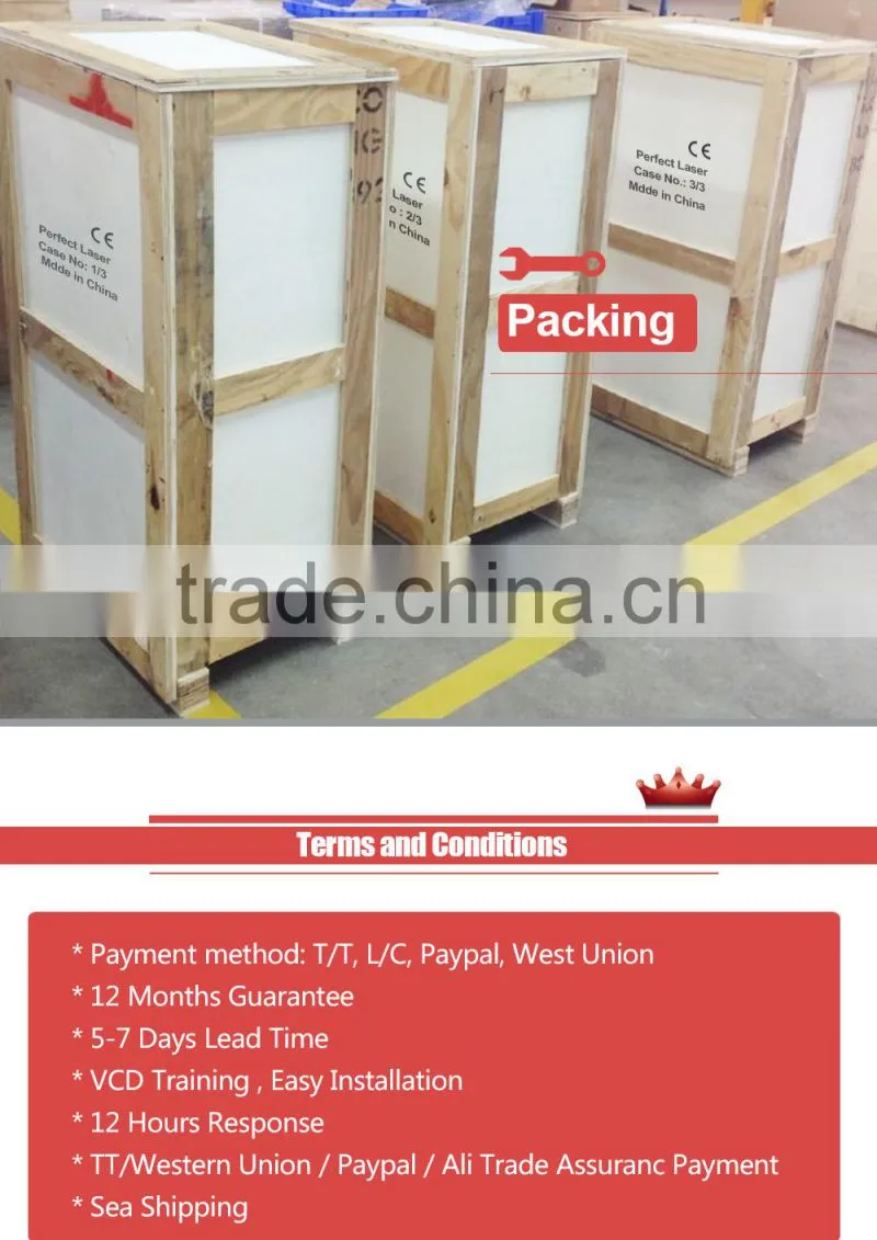 Perfectlaser industrial inkjet printer/ink date coding machine for barcode/QR code/dot matrix/logo/expired date PM-700