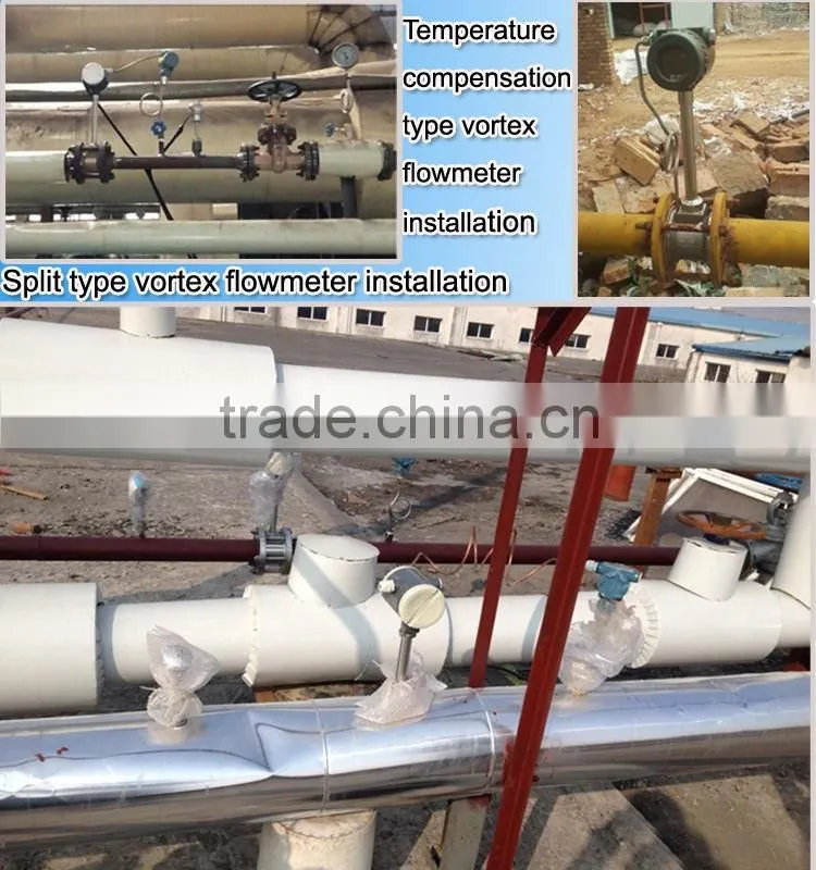 BBZ Plug - in vortex flowmeter