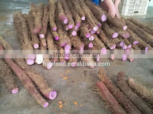 Vacuum Packing Fresh Yam