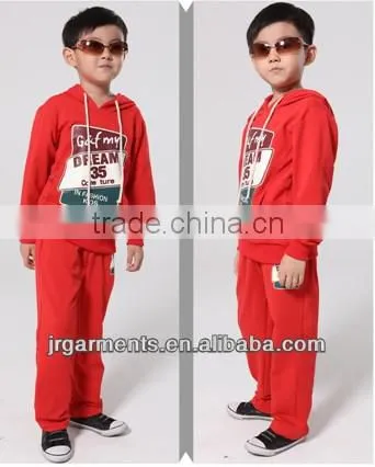 OEM supplier with BSCI,SQP,WCA & BV cheap hoody 100% polyester terry hoody blank high quality hoodies