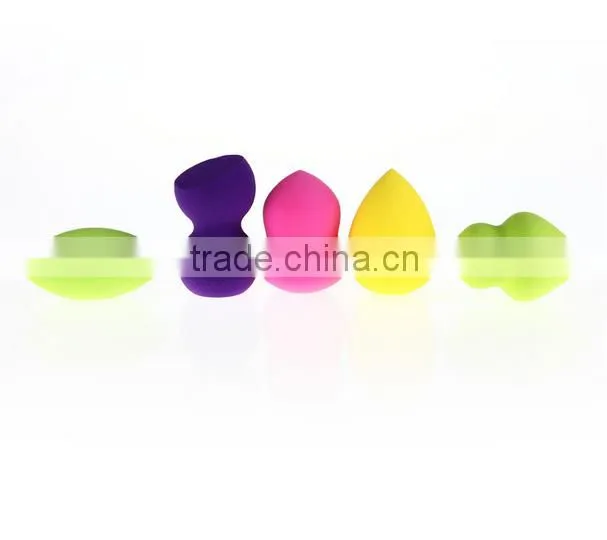 5 pcs/bag Hot Sell Free Makeup Sponge/Blender Sponge brush