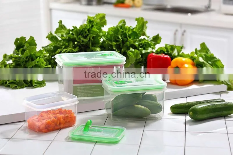 1600ml BPA free rectangle plastic lunch box GL9012-S