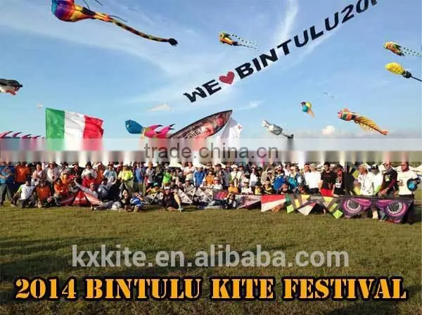 Durable Ripstop Nylon 3D Inflatable kite