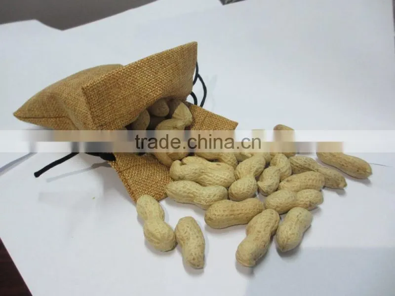 Raw Peanuts in Shell/Groundnuts in Shell for sell
