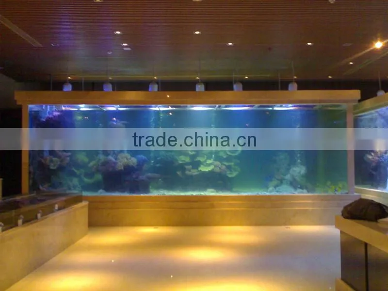 Modern Outdoor Marine Aquariums
