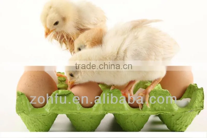 China good quality automatic egg hatcher