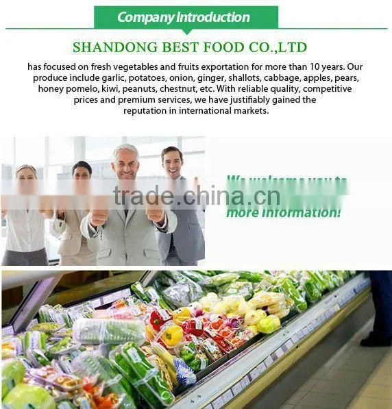 Supplier of peeled chestnut from Shandong export to all market