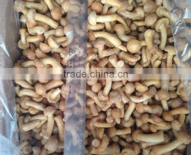 2014 New Crop IQF Nameko