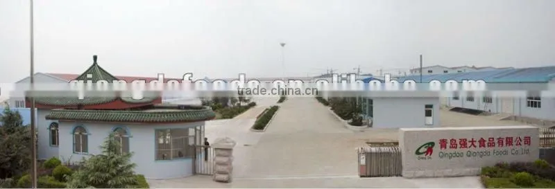 chili processing machine-press Machine
