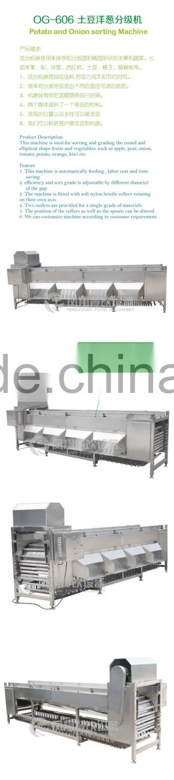 OG-606 CE Qualified Vegetable and Fruit Sorting Machine