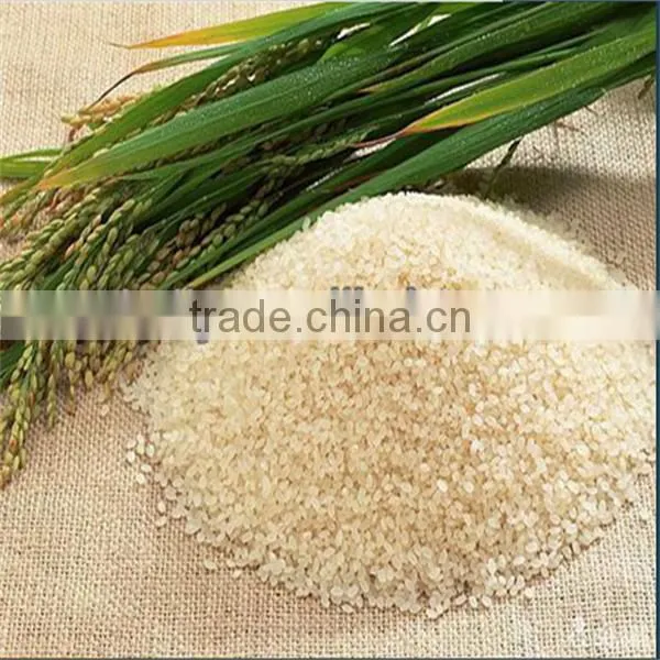 rice milling and grinding combined machine Paddy Peeling machine 0086-13703827012