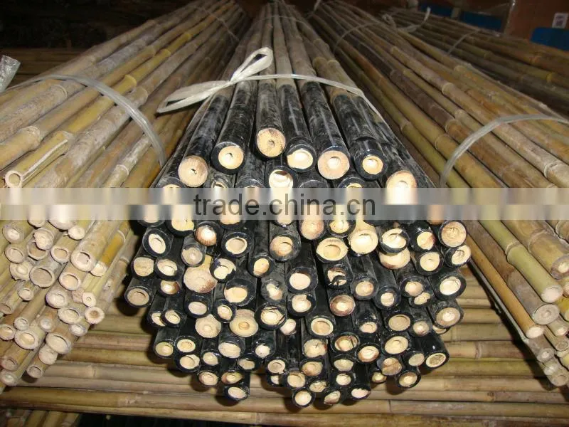 coated plastic bamboo poles