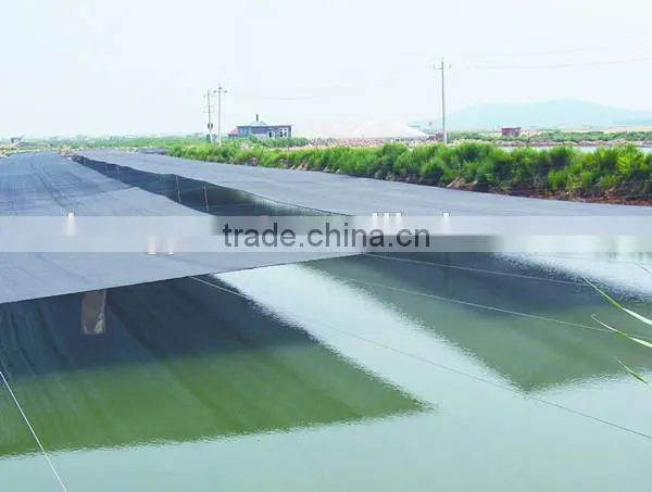 agriculture green house sun shade net