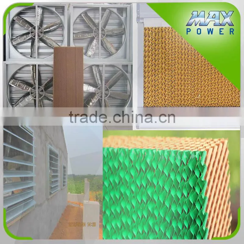 Windows Mounted Energy Saving Ventilation Cooling Fan for Butterfly Orchid Planting Greenhouse