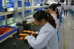 Shenzhen G-sun Optoelectronics Co.,ltd company overview - view 3