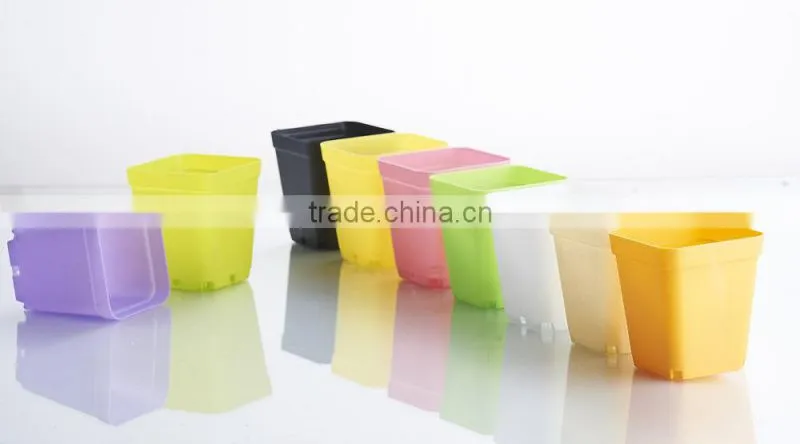 Plastic Colorful Small Square Flower Pots Without Pallet -3 inch
