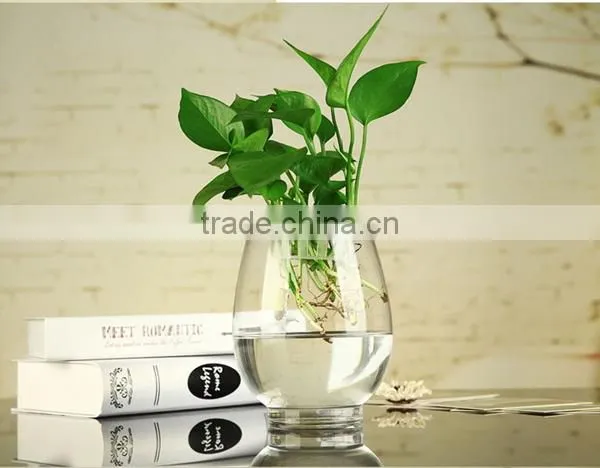 clear glass flower vase for home decoration tall glass vase