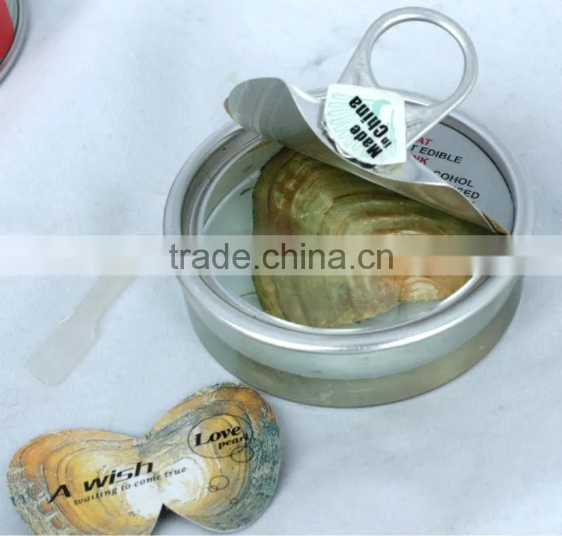 Wish pearl and love pearl gift jewelry (beige) English version