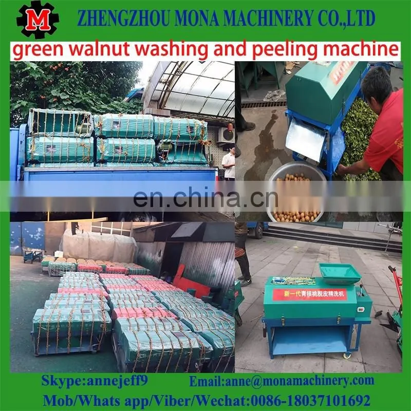 Green Walnut washing Peeling Machinery | Walnut peeler machine on sale