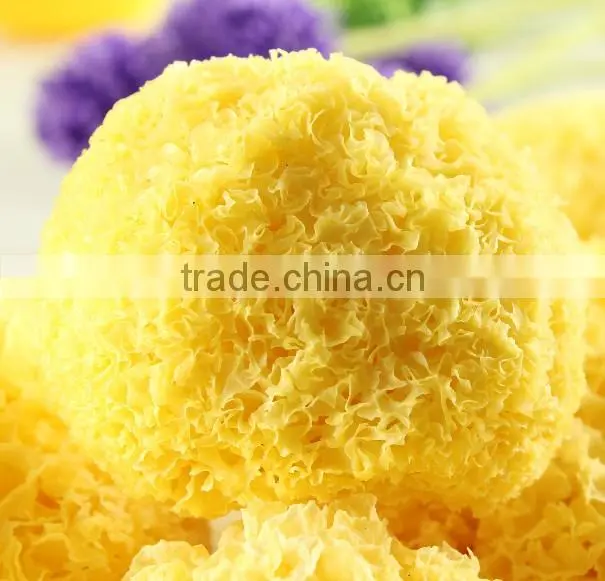 farm produce natural special grade tremella,yiner