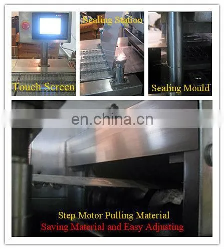 DPP-250 Alu / Pvc Tablet Capsule Honey Candy Herbal Candy Blister Packing Machine