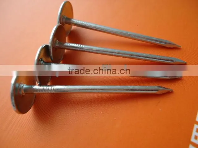 umbrella roofing nail with smooth shank