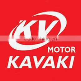 New Development Three Wheel Adult Tricycle/Cars/Used Motorcycles