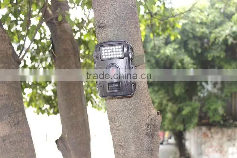 WT1003 Hunting Night Vision Mini Trail Camera