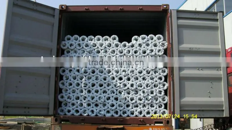 Geocomposite drain pipe