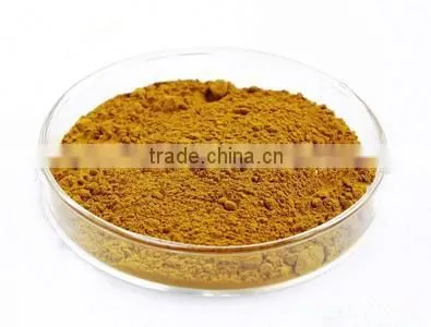 Herb Medicine Angelica Extract Ligustilide