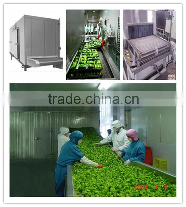 quick freezer tunnel (frozen cold room),pu panel cold room