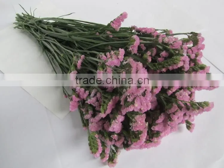 Colorful hot sale decorative supplies myosotis