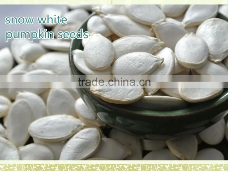 Snow White Pumpkin Seeds From Heilongjiang Province