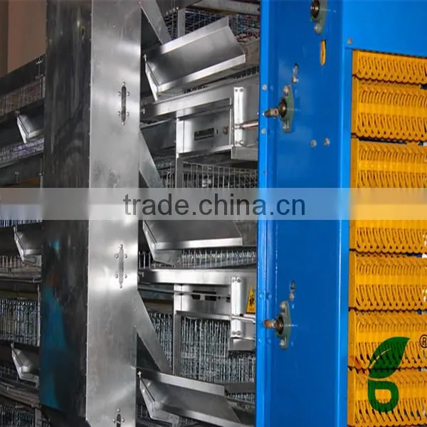 poultry farm automatic drinking system feeding system for 10000 chickens