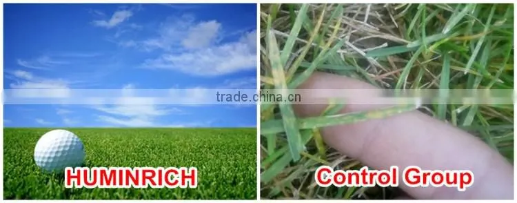 Huminrich Shenyang SH9040-1 Blackgold Humate Compost Fertilizer Price