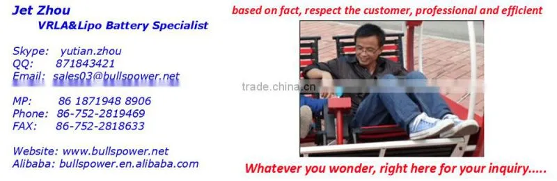 12v battery box battery 12v 17ah toyo agm battery for control system BP12-17