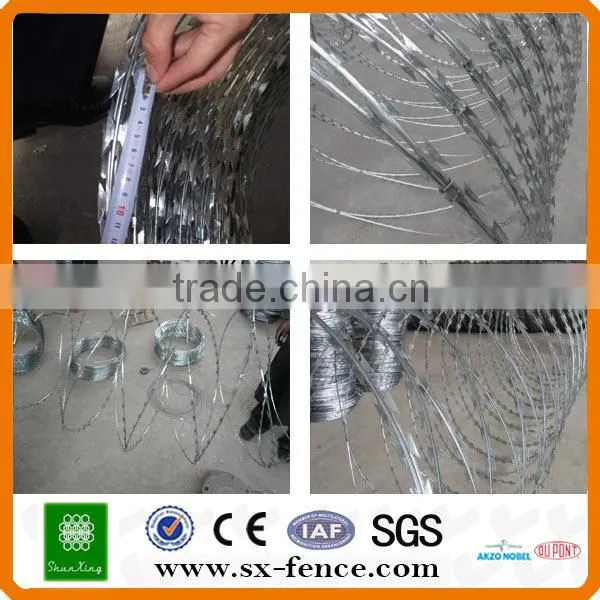 Prison razor wire(ISO9001:2008 professional manufacturer)