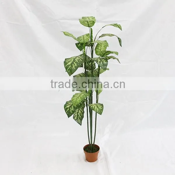 cheap house decorative artificial dieffenbachia plant tree for sale