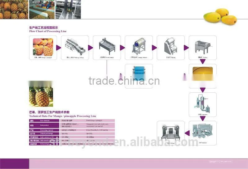 Complete Pineapple Fruit Processing Line