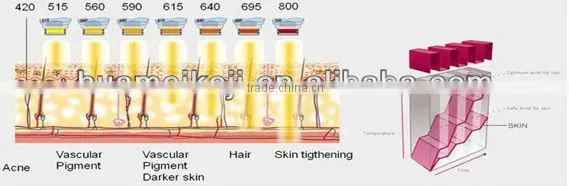 the newest beauty machine global welcome