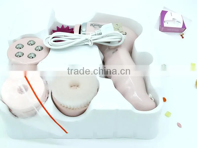 4 in1 Ultrasonic Multi-function Electric Face Beauty Deep Cleaning Massage Brush