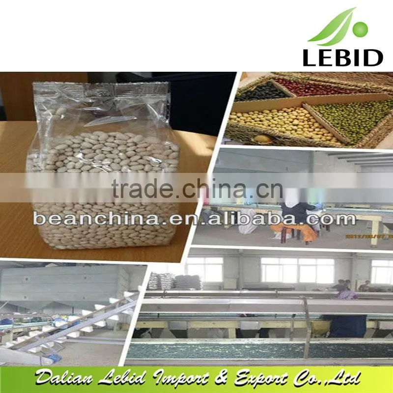 New Crop Large White Kidney Beans/Bean food