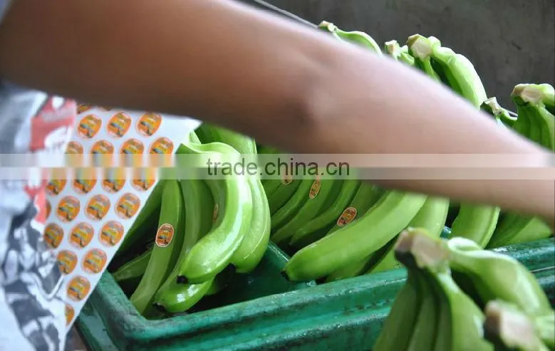 ECUADOR ORIGIN BANANA FROM TURKEY BY ALDERA QUALITY AND GUARANTEE