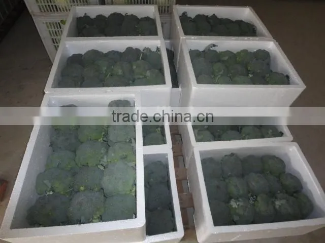 7.5kg foam box fresh broccoli