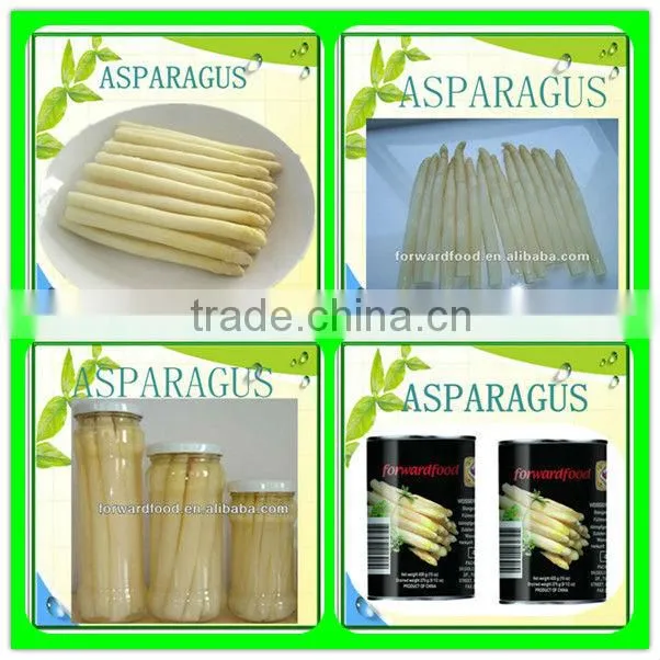 asparagus in tamil asparagus