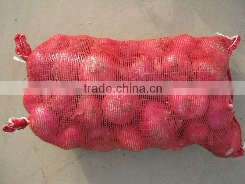 fresh red onion